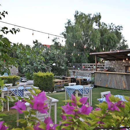 Hotel Faro